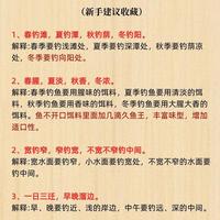 背熟这6条钓鱼爆护口诀，新手不空军，老钓友也直呼实用