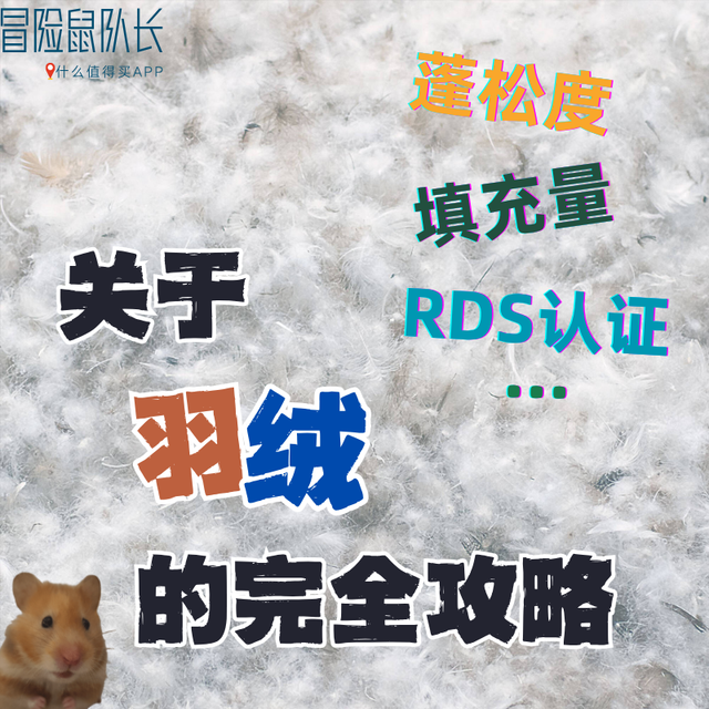 户外佬的硬核科普：羽绒服篇丨参数、避坑、选购与养护