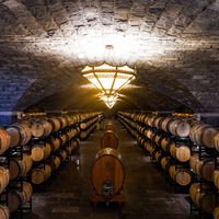 100家中国酒庄巡礼！篇1️⃣：临汾·戎子酒庄