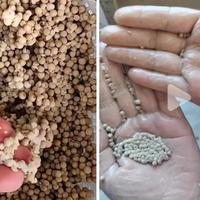 “纯正胡椒粉”不纯，掺杂米粉、面粉比例多过胡椒