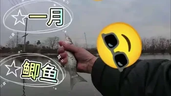 冬钓鲫鱼小诀窍：一逗二挑多看漂，鱼儿轻松入护包#真实生活分享计划 #放假了还不出来钓鱼吗 #钓鱼只有钓鱼人懂 #冬钓鲫鱼技巧