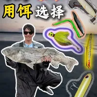 鱼群终于来了 最佳路亚饵选择 #条纹鲈  #路亚  #海钓  #大鱼  #海钓新手必备话题