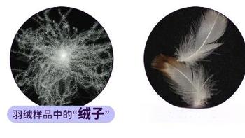 羽绒被、蚕丝被、大豆被怎么选？一张表说清谁才是你的冬日真命天子