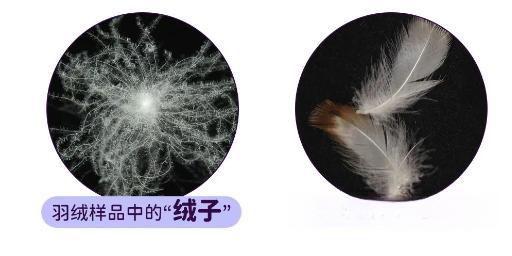 羽绒被、蚕丝被、大豆被怎么选？一张表说清谁才是你的冬日真命天子