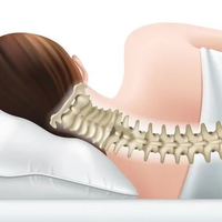 300元国货记忆棉吊打1800元进口乳胶？参数背后的支撑力、温控与真实睡感博弈