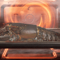 四千块的微蒸烤一体机，是厨房神器还是智商税？