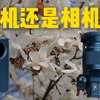 春天去拍花，手机和相机相差多少？