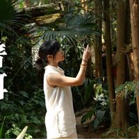 云南边陲 宝藏普洱