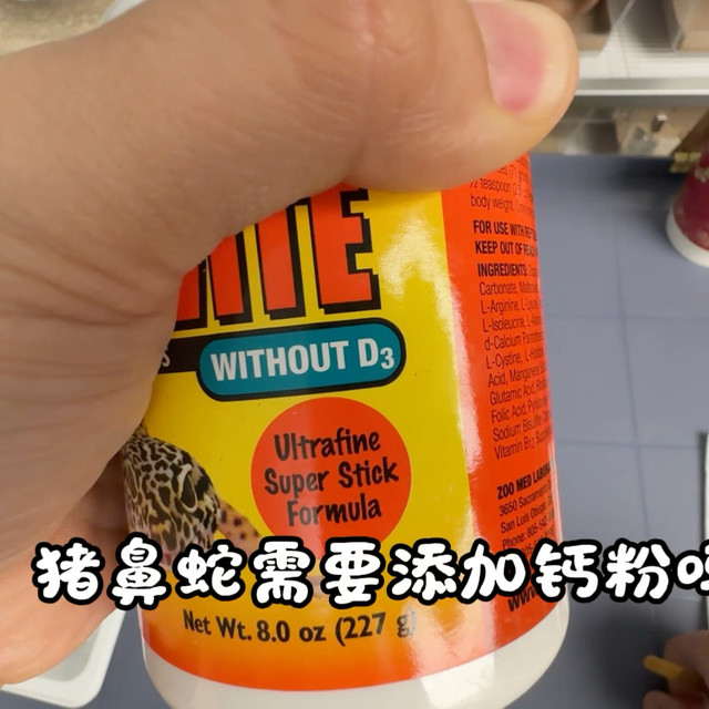 猪鼻蛇需要喂钙粉吗