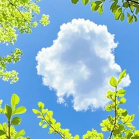 赴一场春日之约，用烟火美食治愈所有疲惫