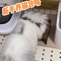 呕心沥血之作——新手一体化全套养猫好物😺
有平价有贵价
致力于用低价来享受贵货的体验 消除新手铲屎官的焦虑
欢迎大家友好讨论分享🧐
#养猫好物 #养猫人 #新手养猫 #新手养猫好物推荐 #猫咪好物