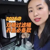 过滤不是越多越好，而是分工越明确越好用！
这款双桶过滤桶，就是教科书级别的设计👇
🖤 黑色前置桶：物理拦截所有鱼便和残渣，这是第一道屏障，脏了随时拆，不影响主桶。
🤍 白色生化桶：里面全是培菌空间，专心养硝化细菌，负责分解毒素、保证水质清澈。
一个管物理，一个管生化，双管齐下，水质长期稳定！
#水族干货 #鱼缸过滤 #双桶过滤桶#鱼缸过滤桶 #鱼缸过滤系统