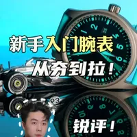 入门腕表从夯到拉实力排名 #手表 #腕表