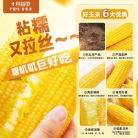 减脂党早餐封神🌽十月稻田黄糯玉米太顶了