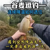 遇到突然降温天气一定要适当钓深一点。 #钓鱼 #钓鱼的乐趣只有钓鱼人懂 #钓鱼人就是这么疯狂 #钓鱼人 #谷麦逗钓