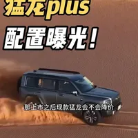 猛龙plus上了现款猛龙降价？ 猛龙plus参数进一步曝光，这功能绝了～ #哈弗猛龙