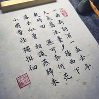 苏轼和周邦彦在宋朝时期谁作为词人的影响力更大，成就更高？
