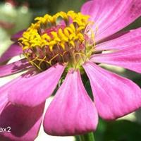 全球五大顶级显示器品牌