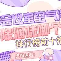 2026会议室空气净化器除烟味哪个好？会议室空气净化器前十推荐