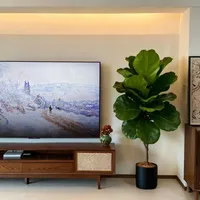 雷鸟鹤7 PRO无边框设计：实用升级还是营销噱头？全网观点大碰撞