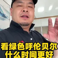呼伦贝尔什么时间更好看?好玩? 选对时间很重要,对的时间看更美的景色,这条视频很详细#呼伦贝尔旅游攻略 #旅行推荐官 #内蒙古旅游 #草原