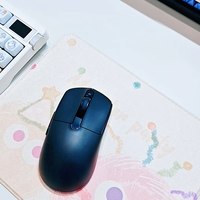 百元电竞鼠标别被参数忽悠：轻量化要刚，8K回报率要看实测