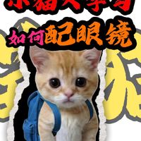 小猫大学习之如何配眼镜