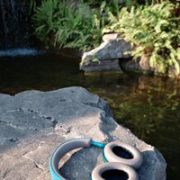 森海塞尔MOMENTUM 4：音质与降噪能兼得吗？1500+用户观点大PK