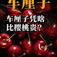 车厘子和樱桃为什么价格差距这么大 #车厘子自由 #车厘子  #科普 #科普一下 #热点