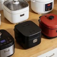 宫菱、飞利浦、小熊电饭锅哪个牌子质量好？全方位对比测评！