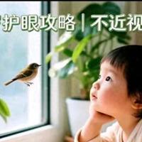 0-3岁视力保护：少看手机≠护眼！4个习惯预防近视、散光
