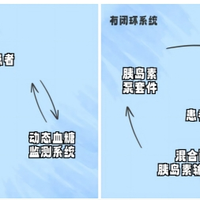 1型糖尿病 vs 2型糖尿病？我们汇总了超200位糖友与医生的真实观点
