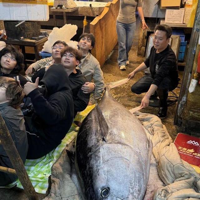 厦门3人捕获560斤金枪鱼，店主：我们驾船跟了它近5个小时