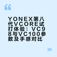 YY第八代VCORE - 我: 🤔