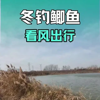 风向不对,努力白费,冬季野钓鲫鱼看天出行才是爆护的关键,风向选择钓位,风力选择深浅#钓鱼 #野钓鲫鱼 #冬钓鲫鱼 #钓鱼王 #沃鼎王者神剑极轻小综合