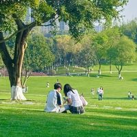 重庆渝北区中央公园附近的：自然之美与专业口腔矫正的完美融合