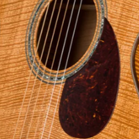 除了“非洲桃花芯不是桃花芯”，还有什么关于桃花芯吉他的知识