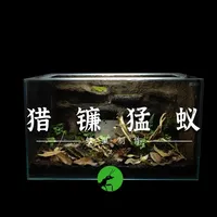 猎镰猛蚁生态巢制作详细过程 我给猎镰猛蚁制作的生态巢，
你喜欢吗？
#猎镰猛蚁 #生态缸制作 #饲养蚂蚁 #蚂蚁 #生态巢