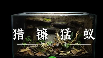 猎镰猛蚁生态巢制作详细过程 我给猎镰猛蚁制作的生态巢，
你喜欢吗？
#猎镰猛蚁 #生态缸制作 #饲养蚂蚁 #蚂蚁 #生态巢