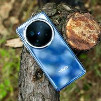 vivo X200 Pro长焦能替代专业相机吗？65%用户观点大碰撞