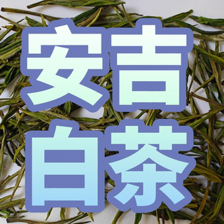 安吉白茶上新尝鲜哪个牌子好？极白/芳羽/宋品/宋茗推荐