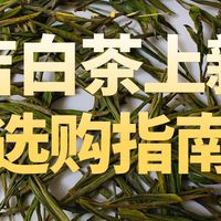 安吉白茶上新尝鲜哪个牌子好？极白/芳羽/宋品/宋茗推荐