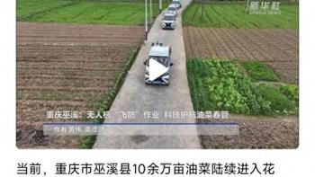 央视新闻，把油菜花和蜜蜂事件说明白了，警惕以后别再发生