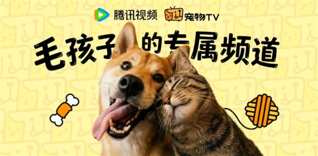 腾讯视频宠物TV上线:专给猫、狗看 缓解孤独拆家