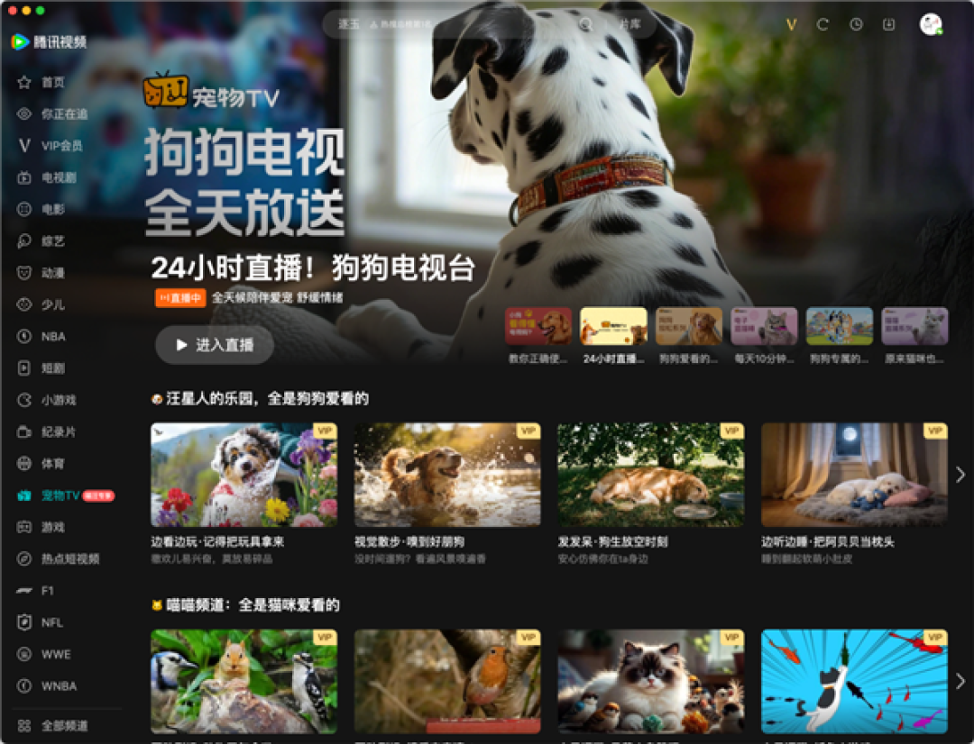 腾讯视频宠物TV上线:专给猫、狗看 缓解孤独拆家