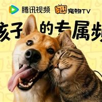 腾讯视频宠物TV上线：专给猫、狗看 缓解孤独拆家