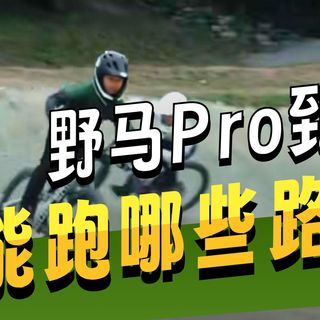 油管神车平替？喜德盛野马Pro全地形玩法一次解锁