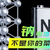 钠电池值得等吗？预算10万以上的，这不是你的菜