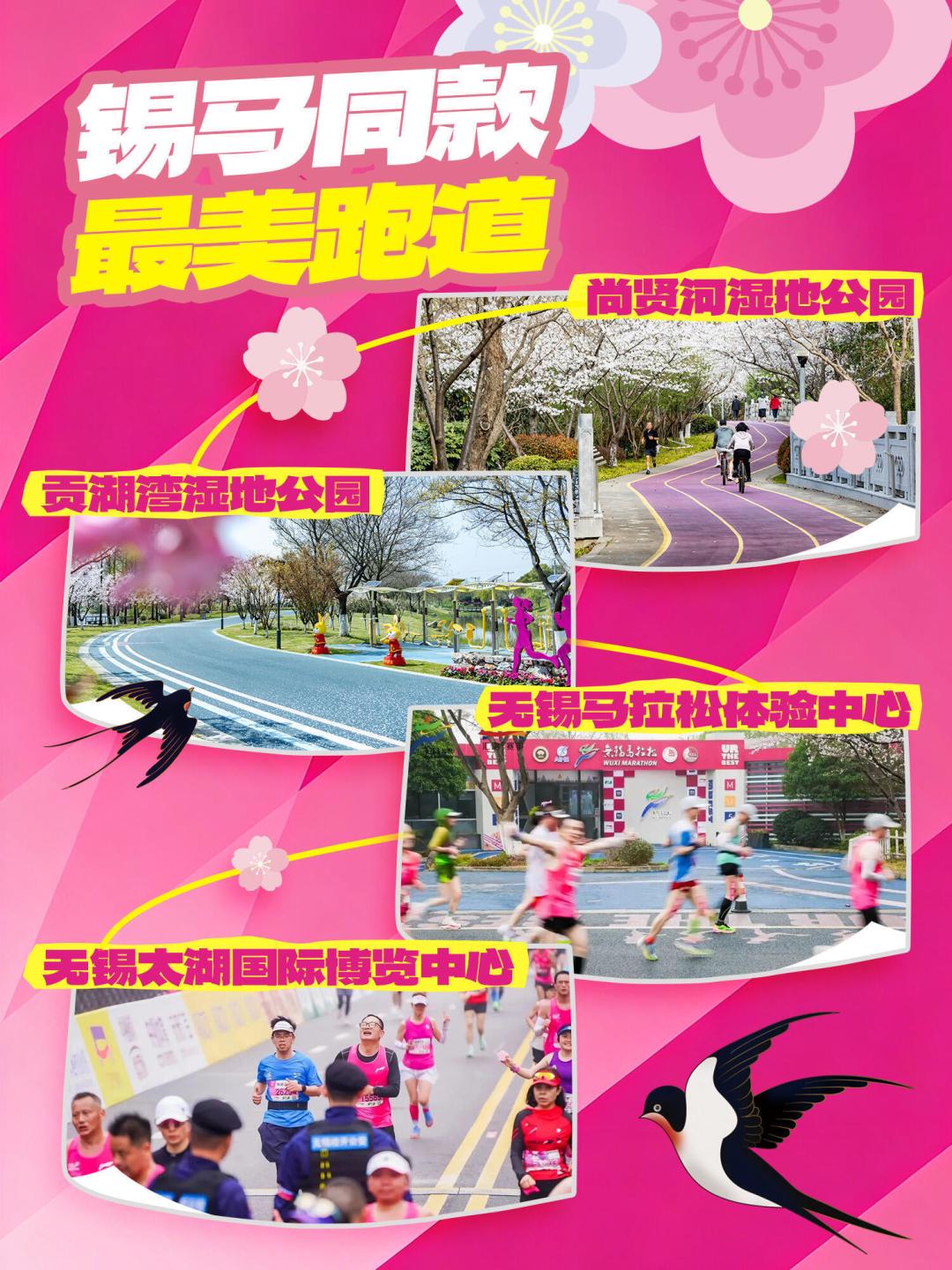 无锡马拉松周末开跑:精英上演神仙打架,完赛即享8万购房补贴