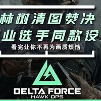 林树清图焚决之视频设置篇，fov该如何选择？职业选手同款思路 全网最细 设置 思路 技巧 全解析